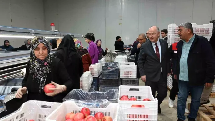 Denizliden Avrupaya Nar Ihracati Basladi