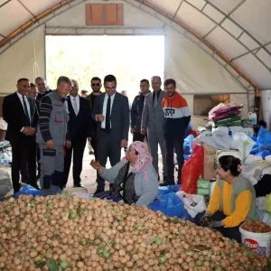 Dinarda Ceviz Hasadi Basladi Ciftciler Mutlu