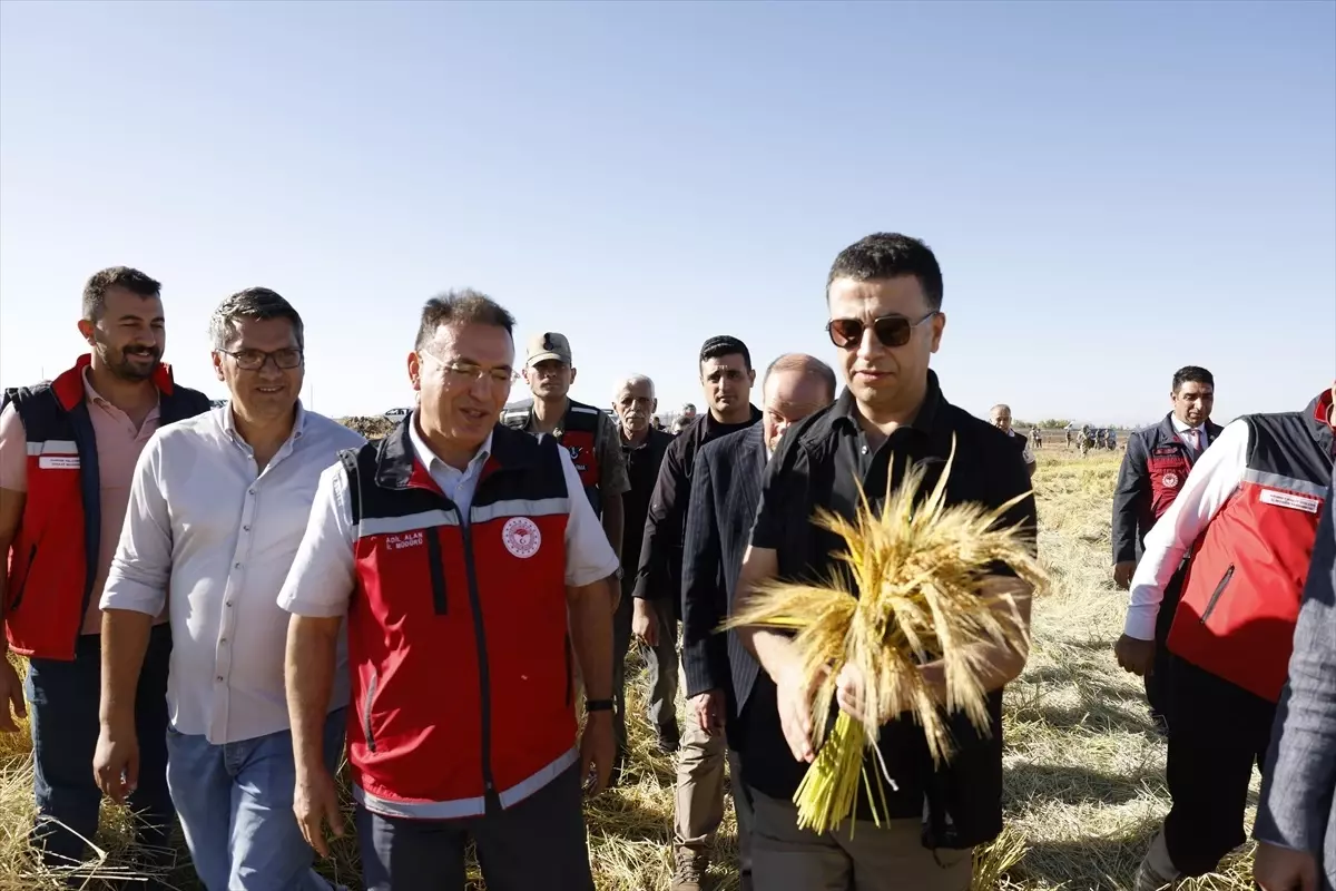 Diyarbakirda Karacadag Pirinci Hasat Etkinligi Duzenlendi