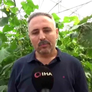 Diyarbakirda Salatalik Serasi Kuruluyor 20 Kisiye Istihdam Saglaniyor