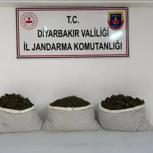 Diyarbakirin Lice ilcesinde uyusturucu operasyonu 15 kilo skunk ele gecirildi