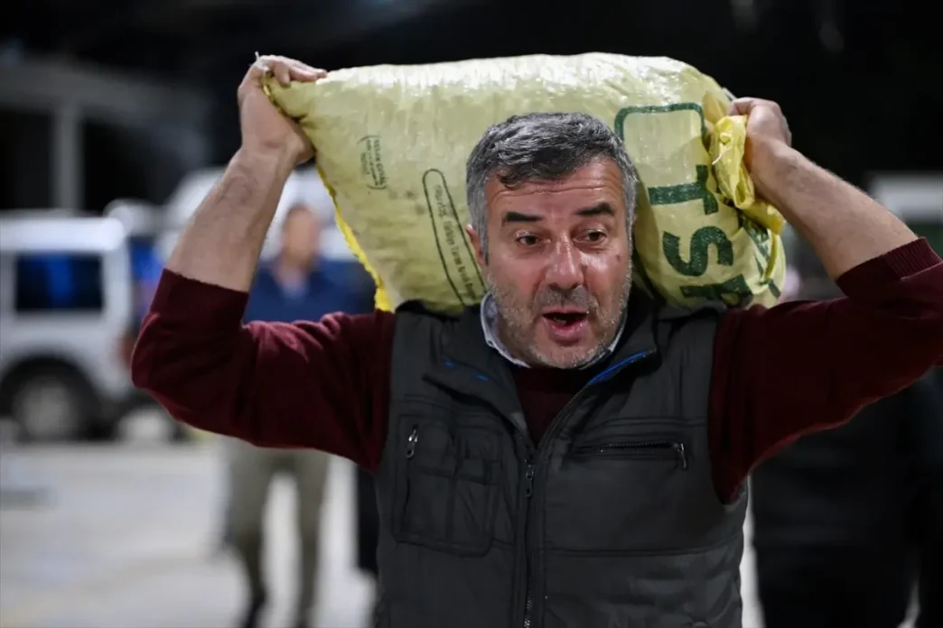 Duzcede Duzce Kuzusu Kestanesinin Mezati Acildi