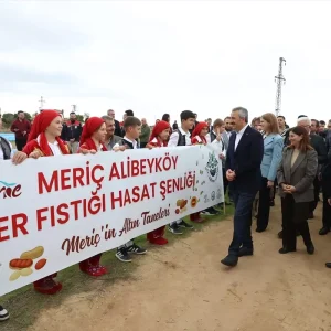 Edirnede Fistik Festivali Duzenlendi Haberler