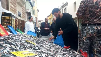 Edirne'de Hamsi Fiyatları Yüzde 50 Düştü, Vatandaşlar Alışverişe Akın Etti 3 Edirnede Hamsi Fiyatlari Yuzde 50 Dustu Vatandaslar Alisverise Akin Etti