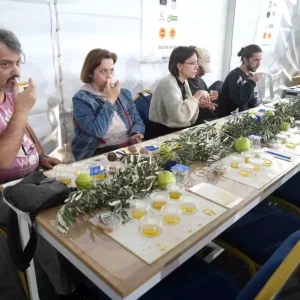 Edremit Zeytinyagi Tadim Festivalinde Farkindalik Egitimi