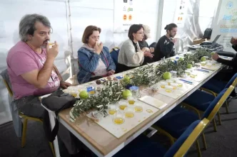 Edremit Zeytinyağı Tadım Festivali'nde Farkındalık Eğitimi 5 Edremit Zeytinyagi Tadim Festivalinde Farkindalik Egitimi