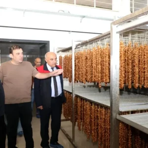 Elazigda Hibe Destekli Isletmelere Denetim
