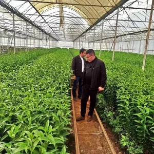 Emette Seracilik Faaliyetleri Icin Teknik Gezi Duzenlendi