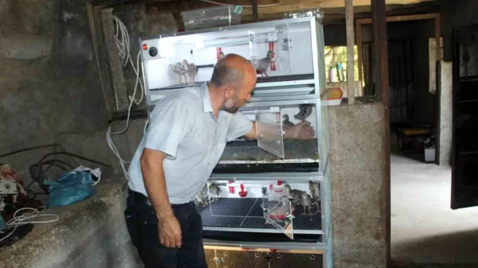 Engelli Cocuklarina ve Ailesine Destek Olmak Icin Tavuk Ciftligi Kurdu