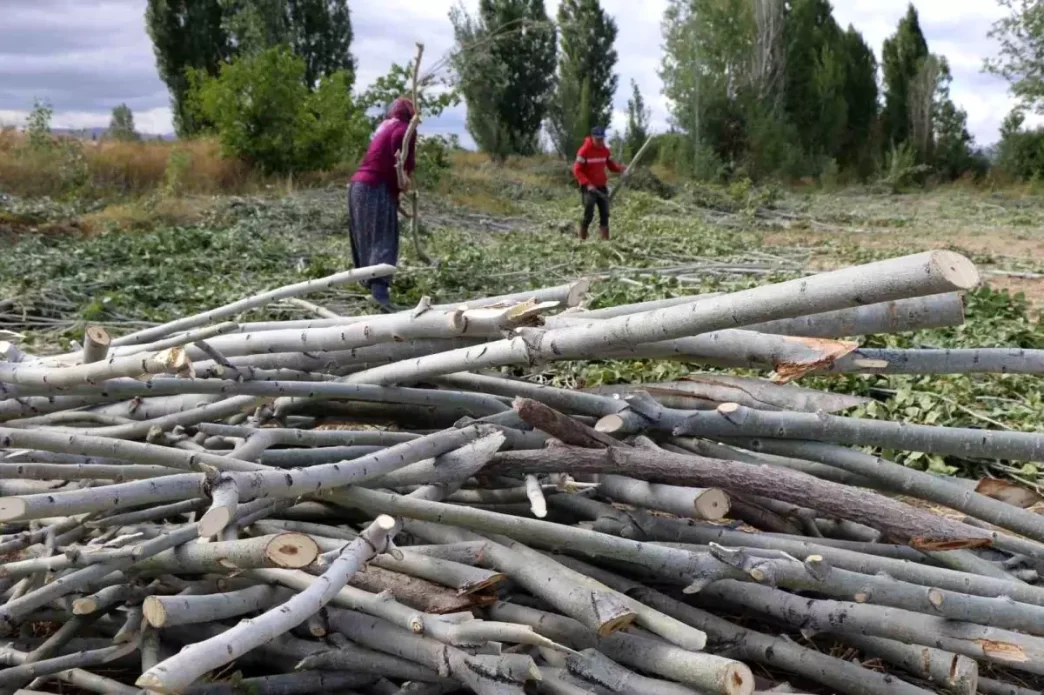 Erzincanda Kislik Yakacak Hazirliklari Devam Ediyor