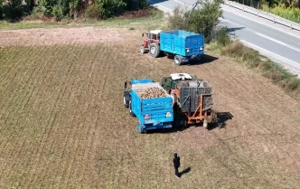 Erzincanda Seker Pancari Hasadi Basladi Ciftciler Fiyatlardan Sikayetci