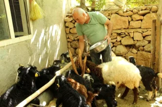 Eski Hukumlu Tahir Keskin Is Kur Destegiyle 200 Keci Surusune Ulasti