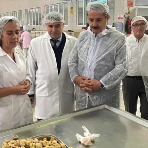 Faruk Celik Kardelen Kestane Sekeri Tesisini Ziyaret Etti