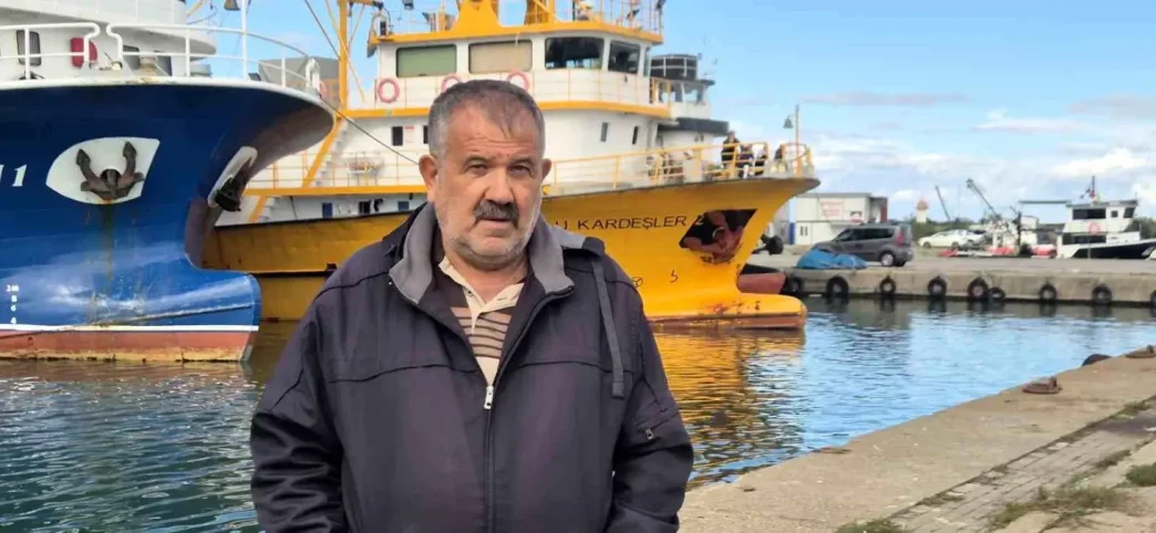 Hamsi Heyecani Basladi Uzmanlar Azak Denizinden Gelenleri Bekliyor