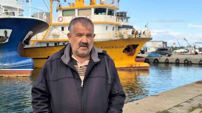Hamsi Heyecani Basladi Uzmanlar Azak Denizinden Gelenleri Bekliyor