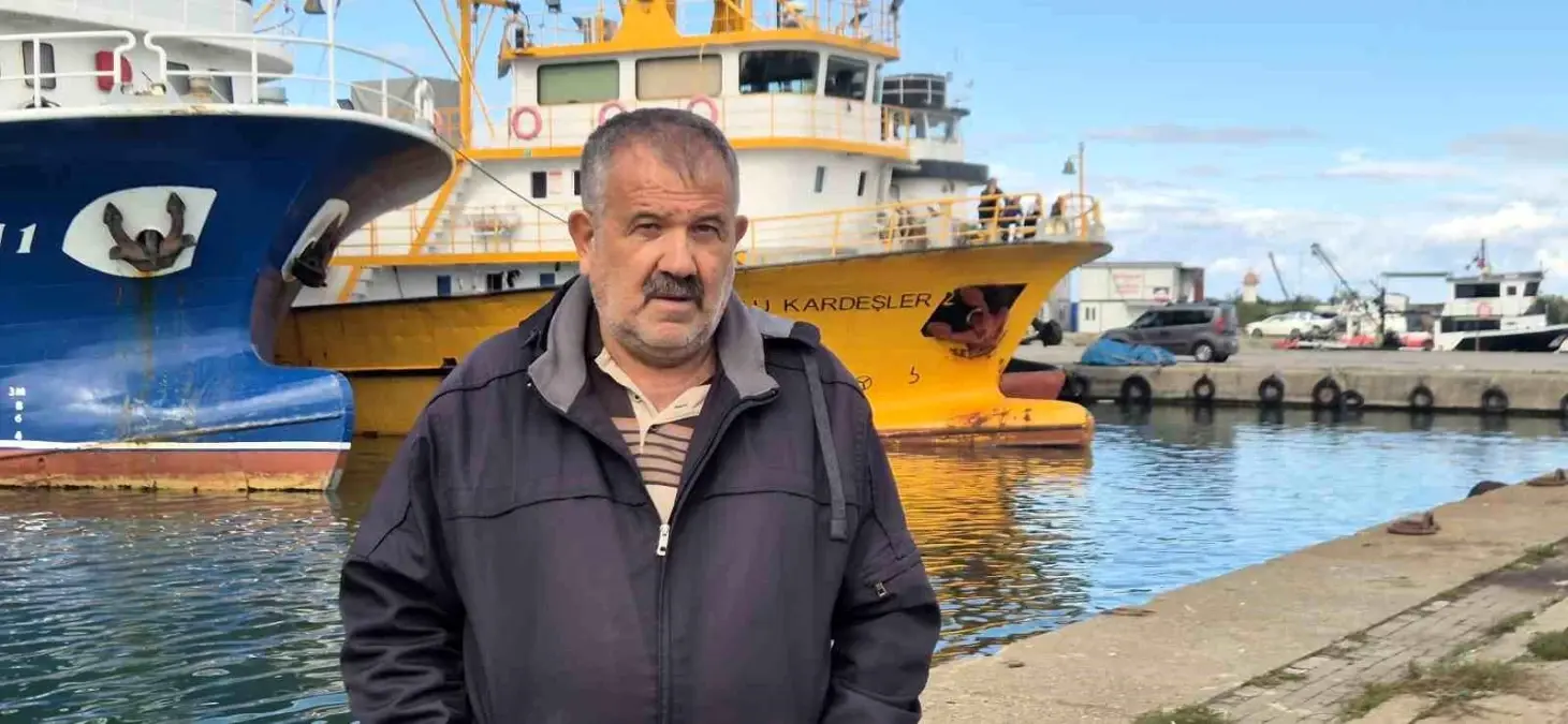 Hamsi Heyecani Basladi Uzmanlar Azak Denizinden Gelenleri Bekliyor