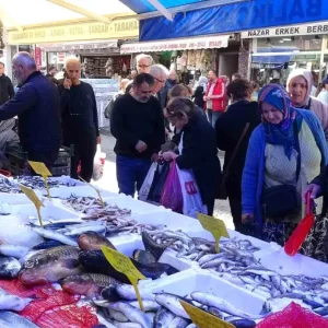 Hamsinin Fiyati 100 TLye Dusunce Kapis Kapis Satildi