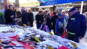 Hamsinin Fiyati 100 TLye Dusunce Kapis Kapis Satildi