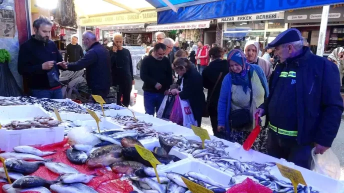 Hamsinin Fiyati 100 TLye Dusunce Kapis Kapis Satildi
