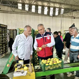Hatayda Limon Ihracati Icin Denetimler Suruyor