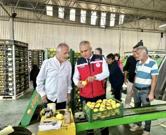Hatayda Limon Ihracati Icin Denetimler Suruyor