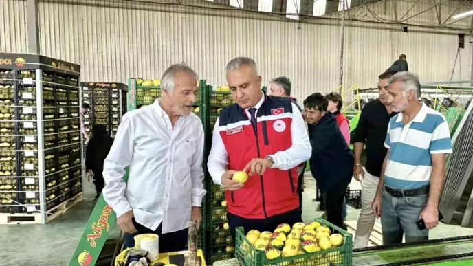 Hatayda Limon Ihracati Icin Denetimler Suruyor
