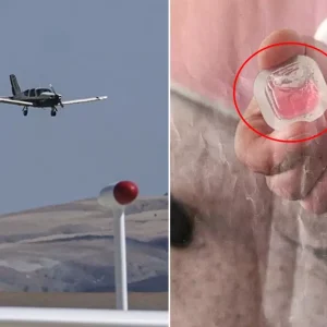Havadan birakilan kuduz asilari ilceyi panige surukledi