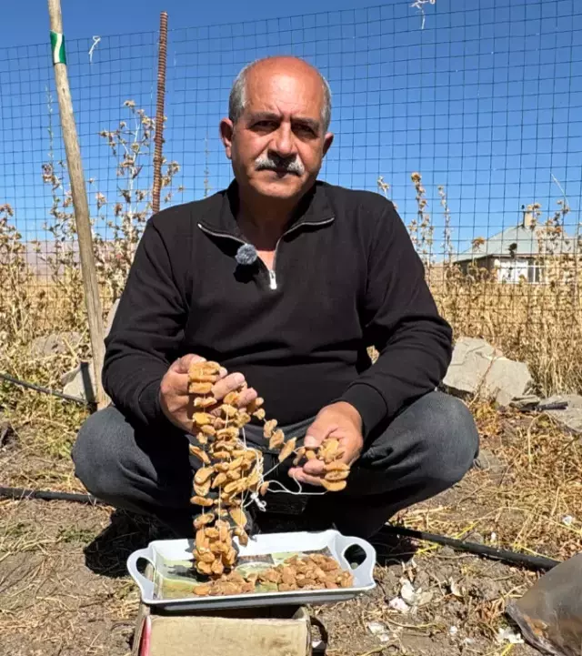 İşsiz kalınca ekti, hayatı değişti! Kilosunu 200-300 bin TL'ye satıyor