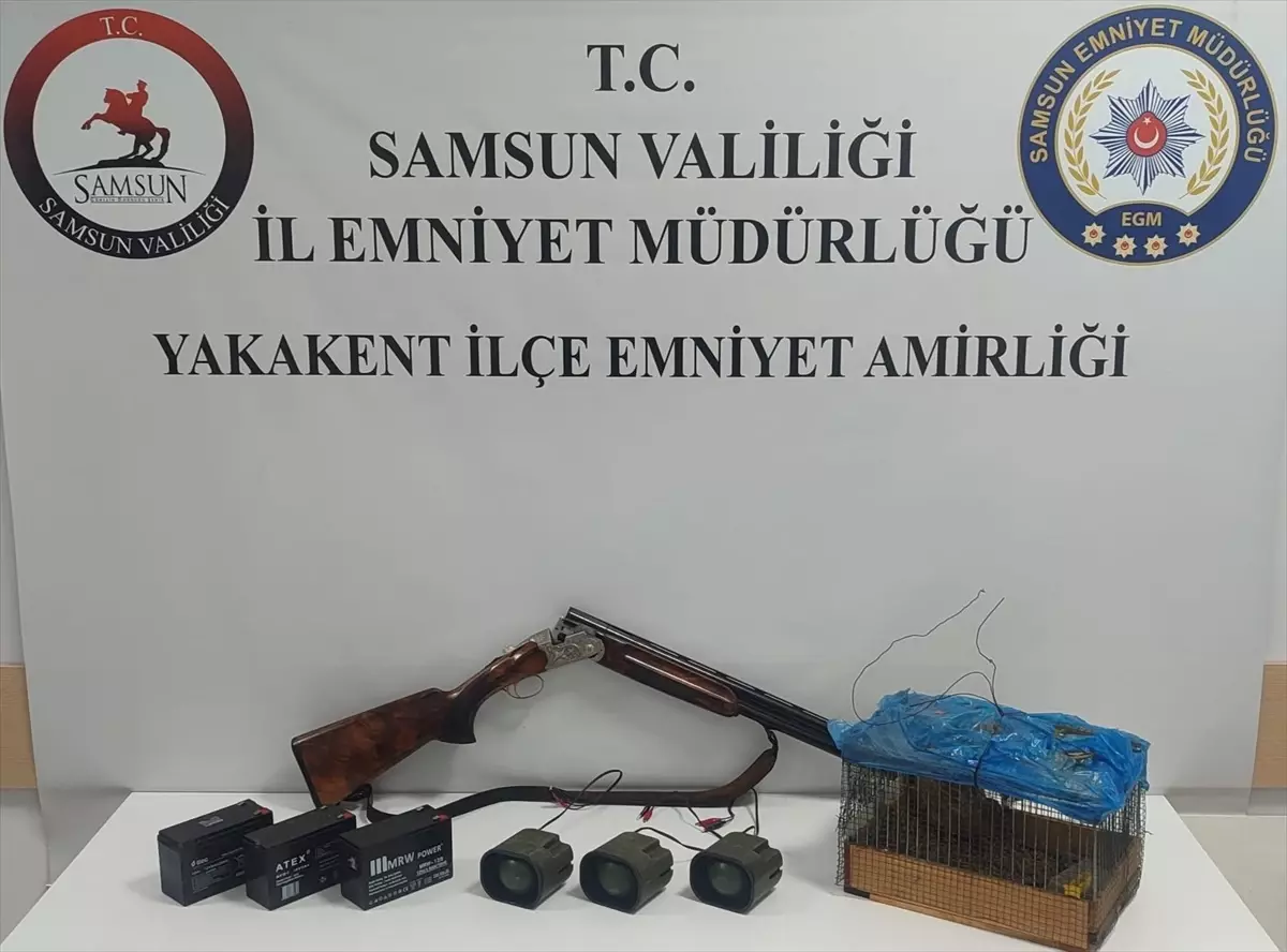 Kacak Avcilik Yontemi Yakalandi Bildircinla Tuzaga Dusurulen Yaban Hayvanlari