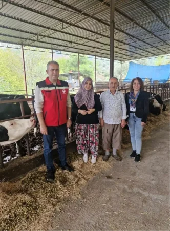 Kadın Çiftçi Tuğba Yıldırım, Süt Sığırcılığı İşletmesini Kurdu 12 Kadin Ciftci Tugba Yildirim Sut Sigirciligi Isletmesini Kurdu