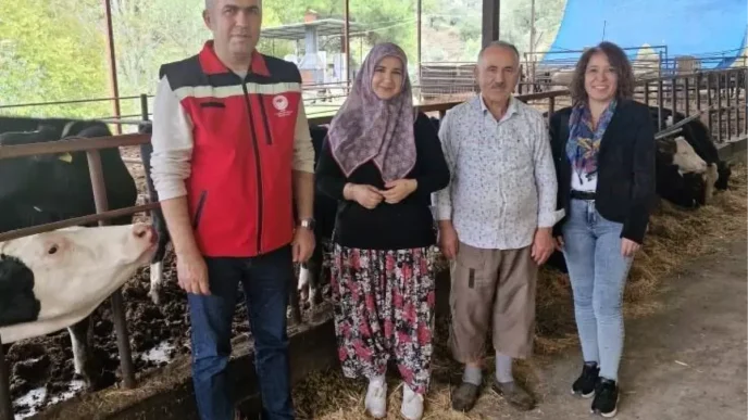 Kadın Çiftçi Tuğba Yıldırım, Süt Sığırcılığı İşletmesini Kurdu 13 Kadin Ciftci Tugba Yildirim Sut Sigirciligi Isletmesini Kurdu