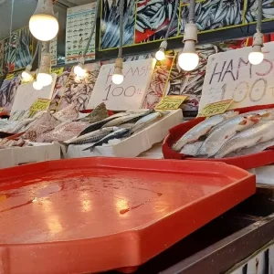 Karabukte Hamsi Fiyatlari 100 Liraya Dustu
