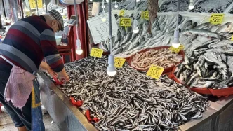 Karabukte Hamsi Fiyatlari Uygun Kilo 100 TL