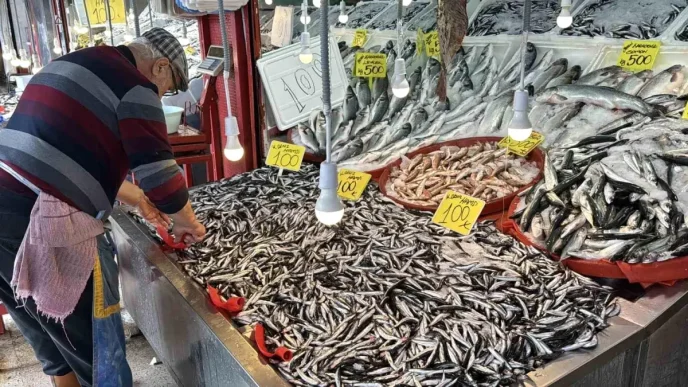 Karabukte Hamsi Fiyatlari Uygun Kilo 100 TL