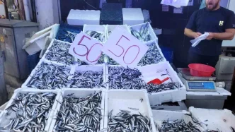 Karadeniz'de Hamsi Bolluğu: Fiyatlar 50 Liraya Düştü 3 Karadenizde Hamsi Bollugu Fiyatlar 50 Liraya Dustu