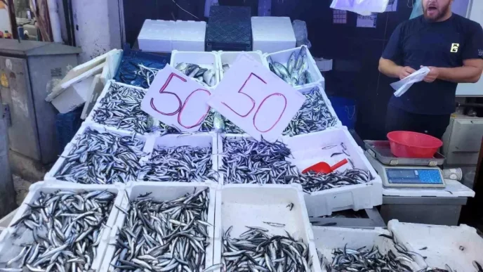 Karadeniz'de Hamsi Bolluğu: Fiyatlar 50 Liraya Düştü 4 Karadenizde Hamsi Bollugu Fiyatlar 50 Liraya Dustu