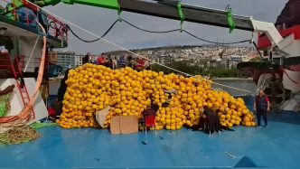 Karadenizde Siddetli Ruzgar ve Firtina Balikcilari Limana Siginmaya Zorluyor