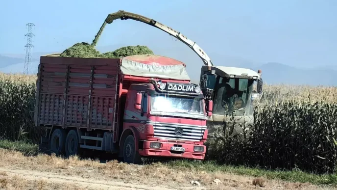 Karapinarda Erken Misir Hasadi Basladi