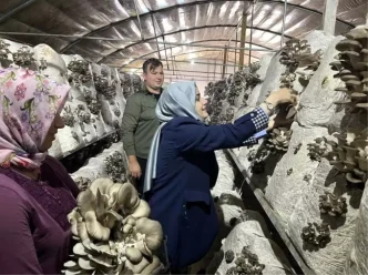 Kaymakam Kilic Kucukyenice Koyundeki Mantar Uretim Tesisini Ziyaret Etti