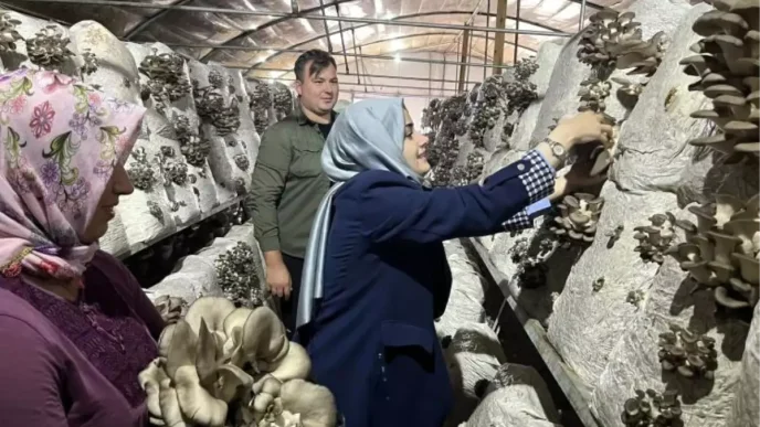 Kaymakam Kilic Kucukyenice Koyundeki Mantar Uretim Tesisini Ziyaret Etti