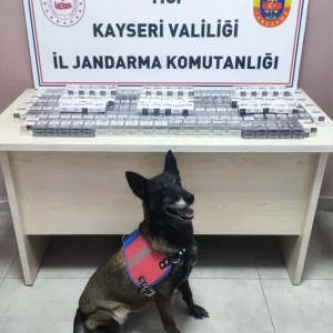 Kayseride Tirda 320 Paket Kacak Sigara Ele Gecirildi