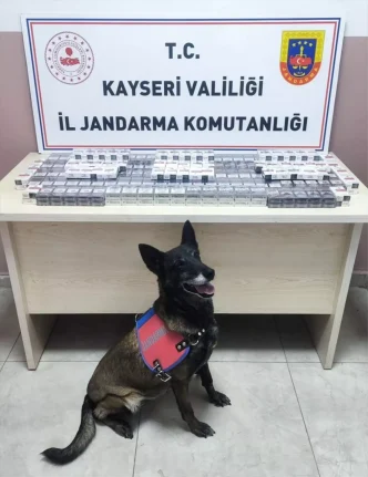 Kayseride Tirda 320 Paket Kacak Sigara Ele Gecirildi