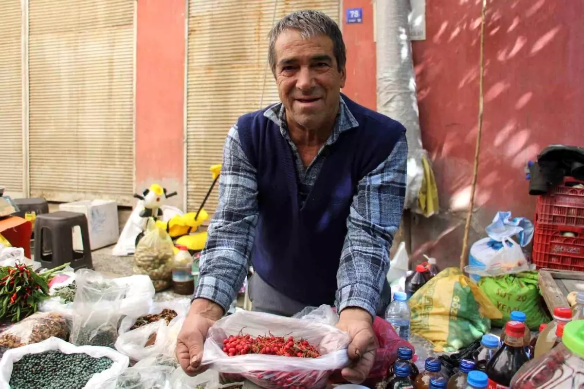 Kizilcik Mevsimi Basladi Sifa Kaynagi Pazar Tezgahlarinda