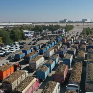 Konya ve Cumra Sekerde kampanya donemi basladi