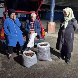 Kuraklik Kestane Rekoltesini Vurdu Fiyatlar Yukseliyor