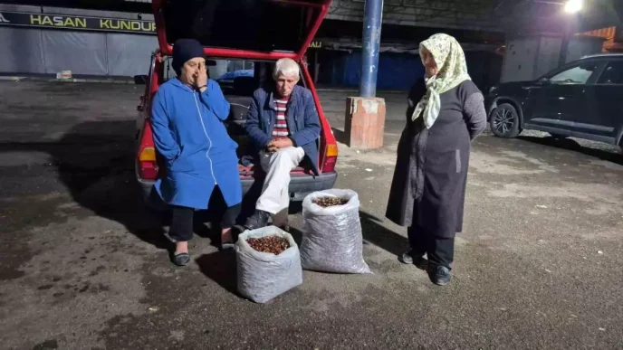 Kuraklik Kestane Rekoltesini Vurdu Fiyatlar Yukseliyor