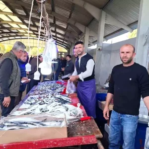 Kutahya Hisarcikta Balik Fiyatlari Dususte Hamsi ve Sardalya 150 TLye