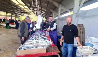 Kütahya Hisarcık'ta Balık Fiyatları Düşüşte: Hamsi ve Sardalya 150 TL'ye Geriledi 3 Kutahya Hisarcikta Balik Fiyatlari Dususte Hamsi ve Sardalya 150 TLye