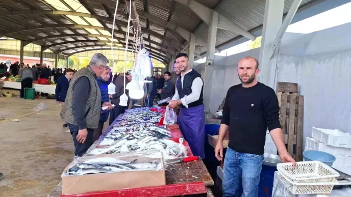 Kütahya Hisarcık'ta Balık Fiyatları Düşüşte: Hamsi ve Sardalya 150 TL'ye Geriledi 4 Kutahya Hisarcikta Balik Fiyatlari Dususte Hamsi ve Sardalya 150 TLye