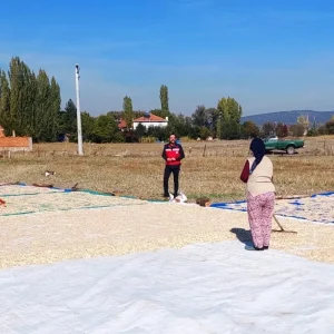 Kutahyada Cerezlik Kabak Hasadi Basladi